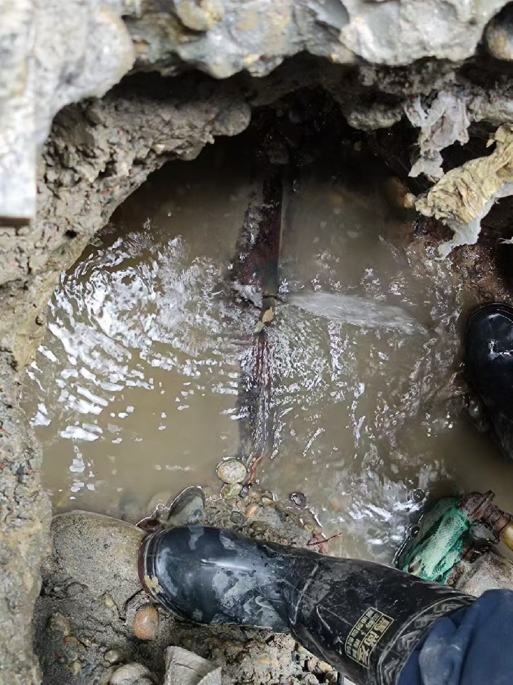 美兰区本地服务：小区水管漏水检测维修